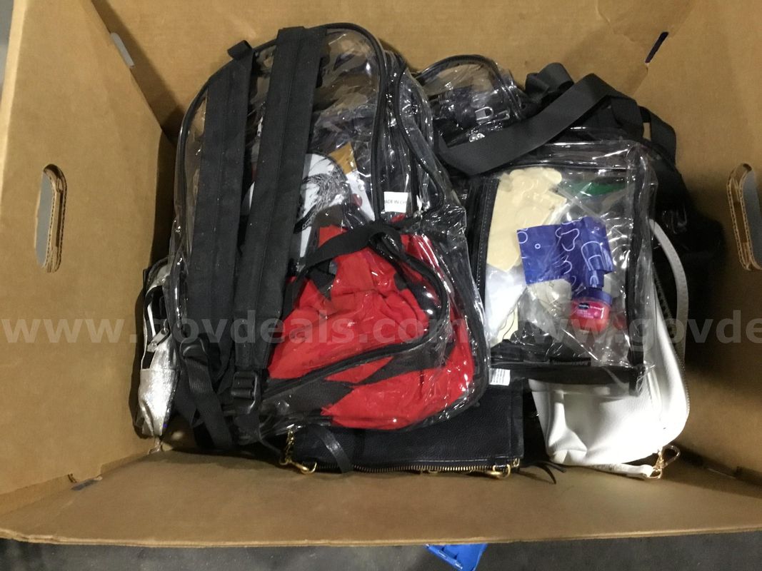 1 Lot of Assorted Clear Backpacks and Bags