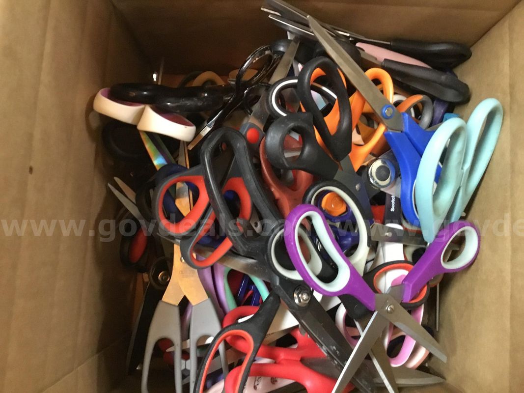 1 Lot of Assorted Scissors