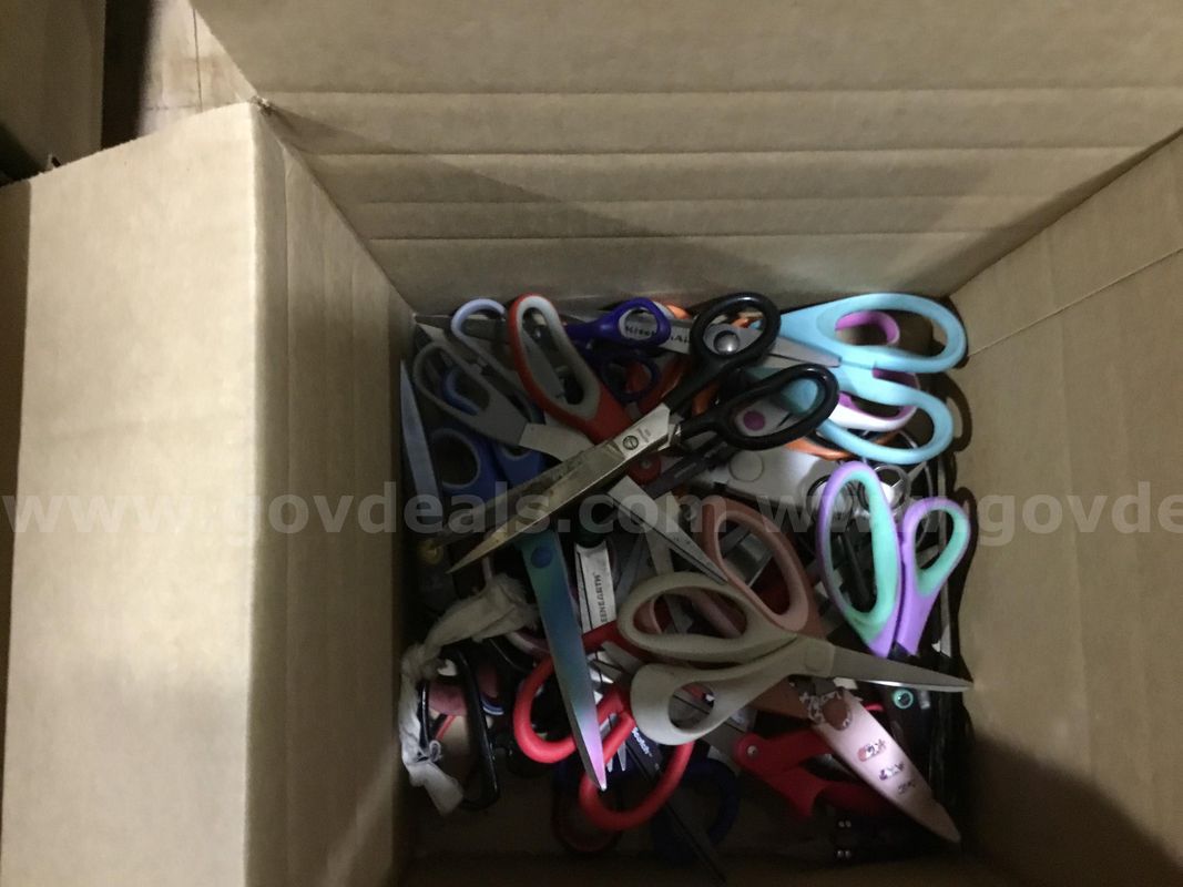 1 Lot of Assorted Scissors