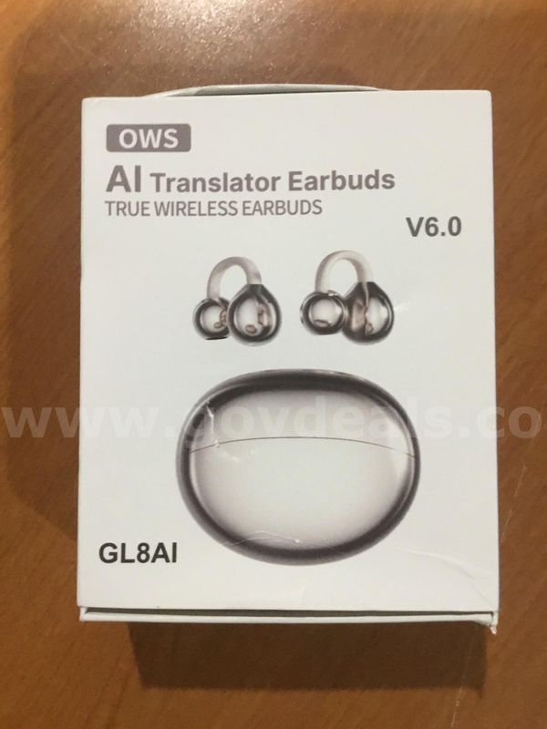 AI translator earbuds "DH"