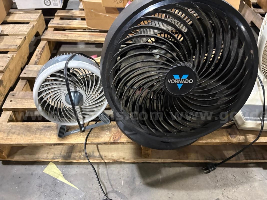 Lot of Fans (3)