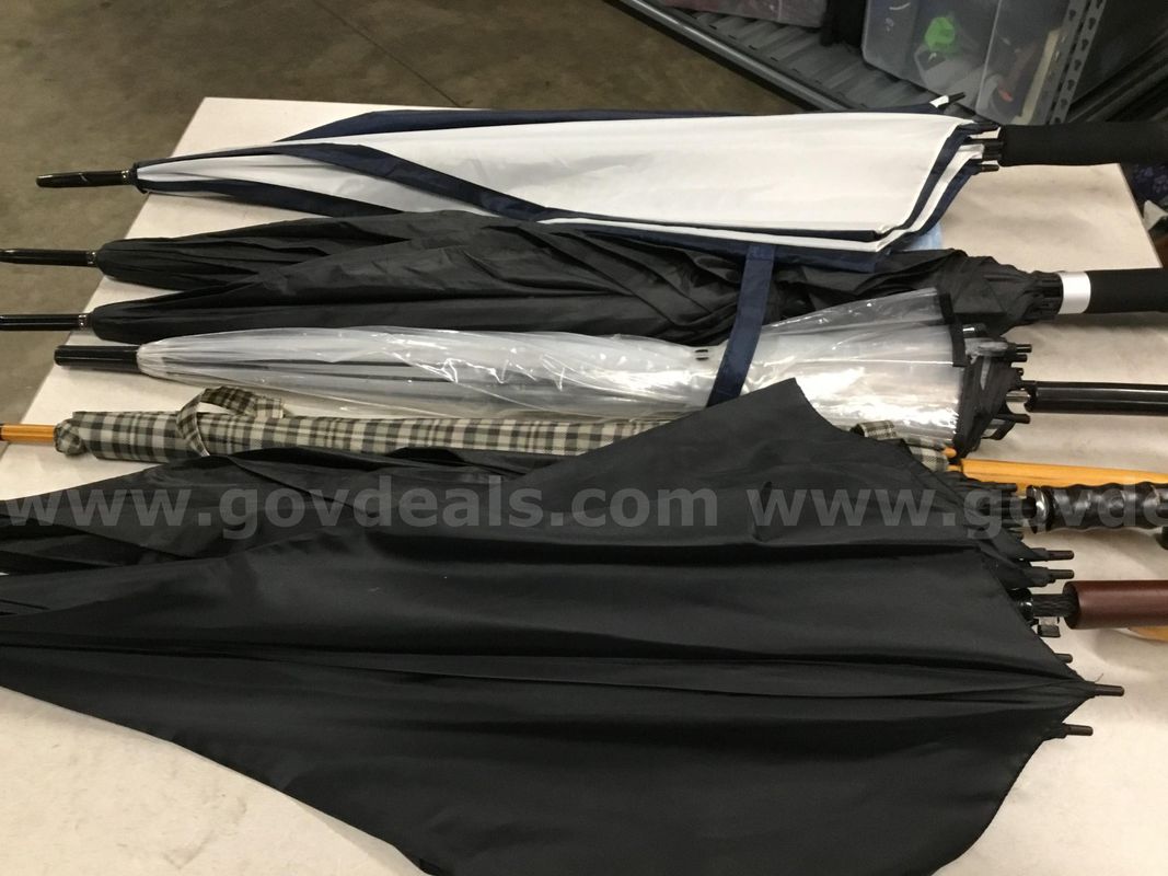 1 Lot of Assorted Umbrellas