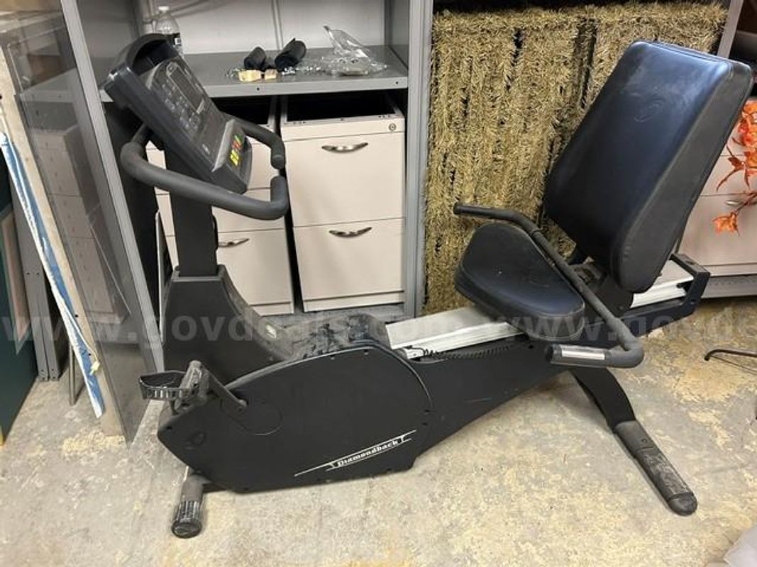 Diamondback 1150 Seated Exercise Bike
