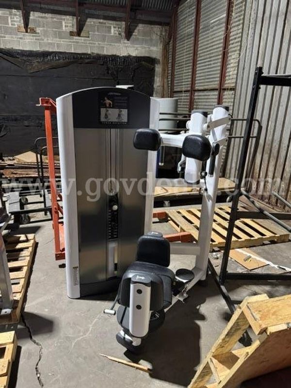 Life fitness torso rotation machine