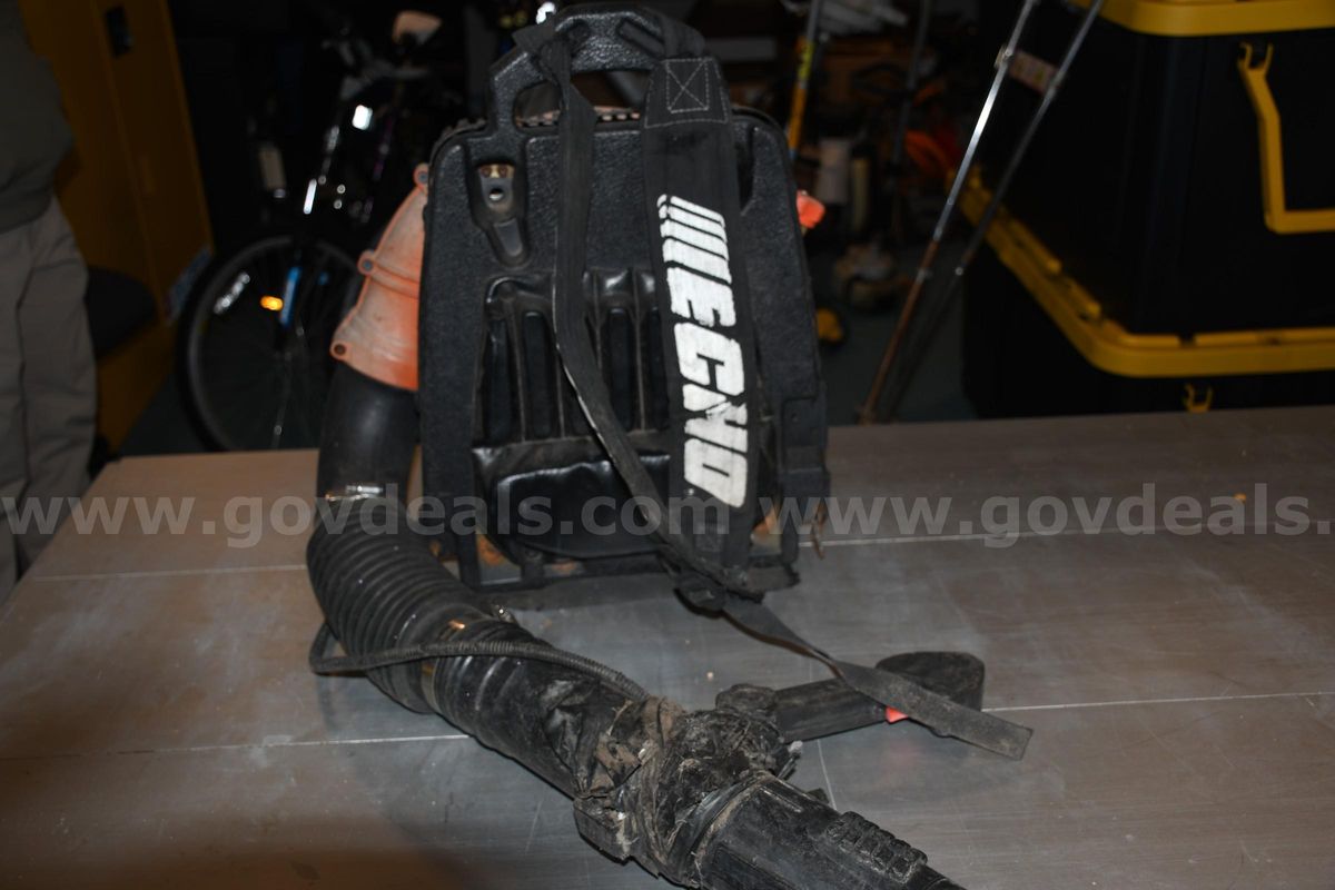 Echo Backpack Blower