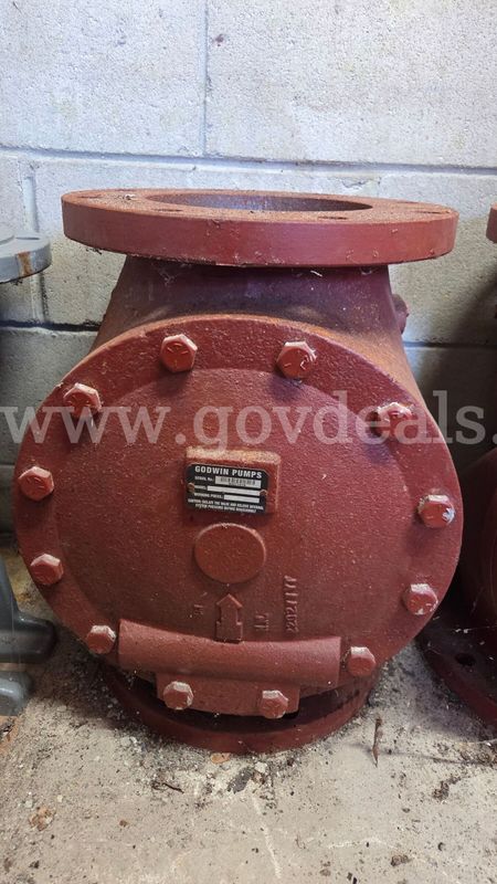 Lot of Two (2) Godwin Pumps, 8 in. Integrated Check Valves