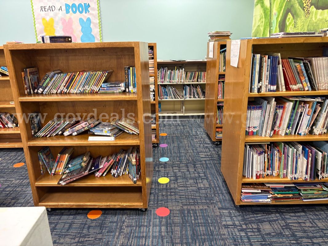 An Entire Library of Books (from Elementary School) Bookshelves not included