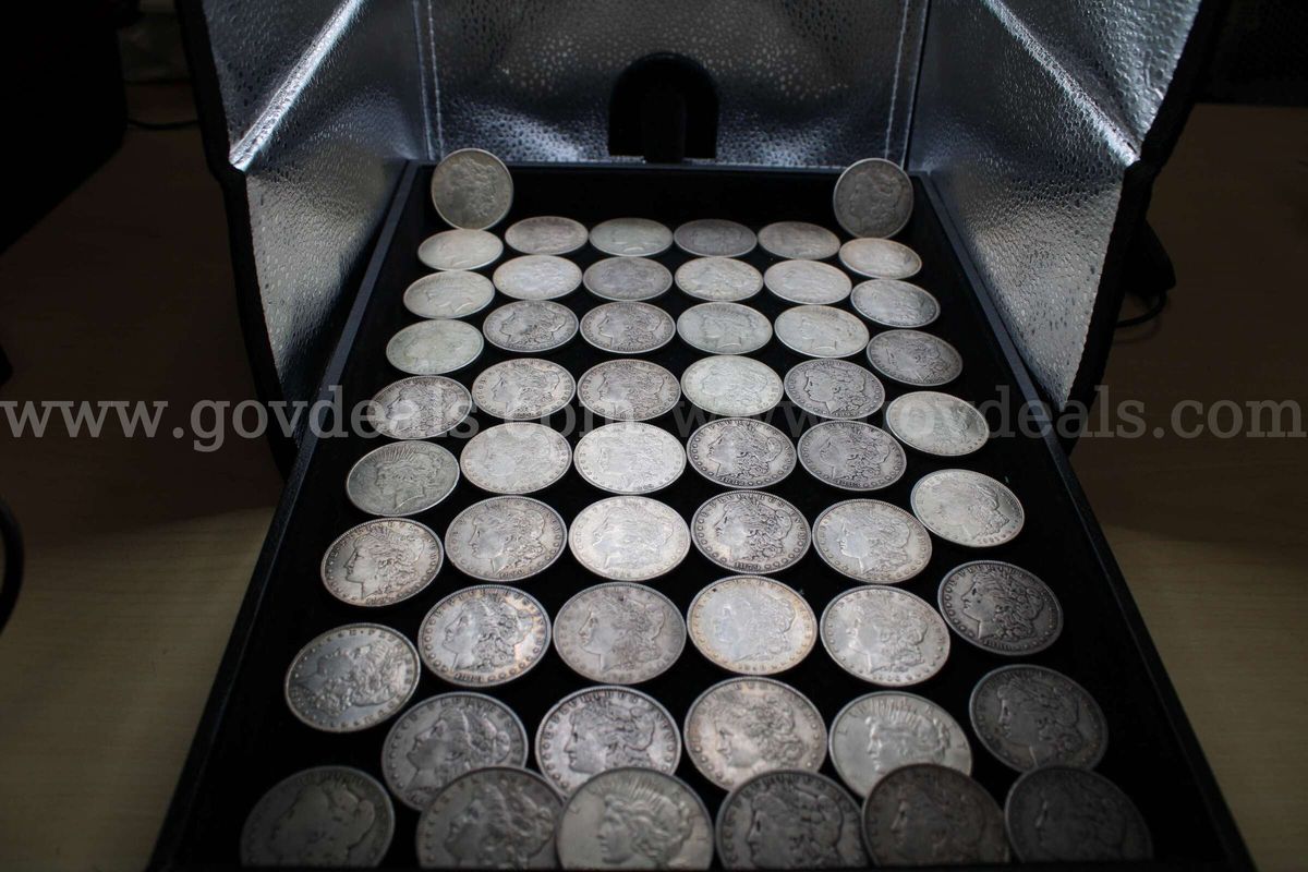 $1 Coin (54)