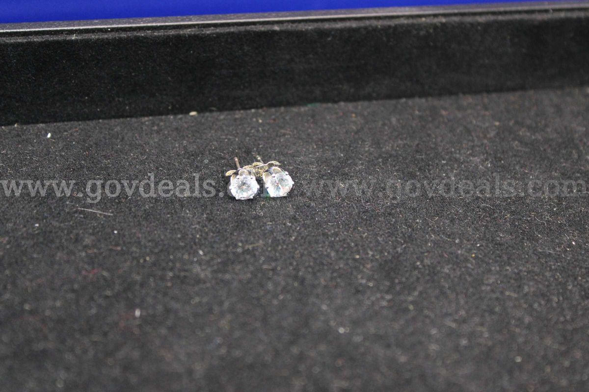 Pair Of Earrings (1)