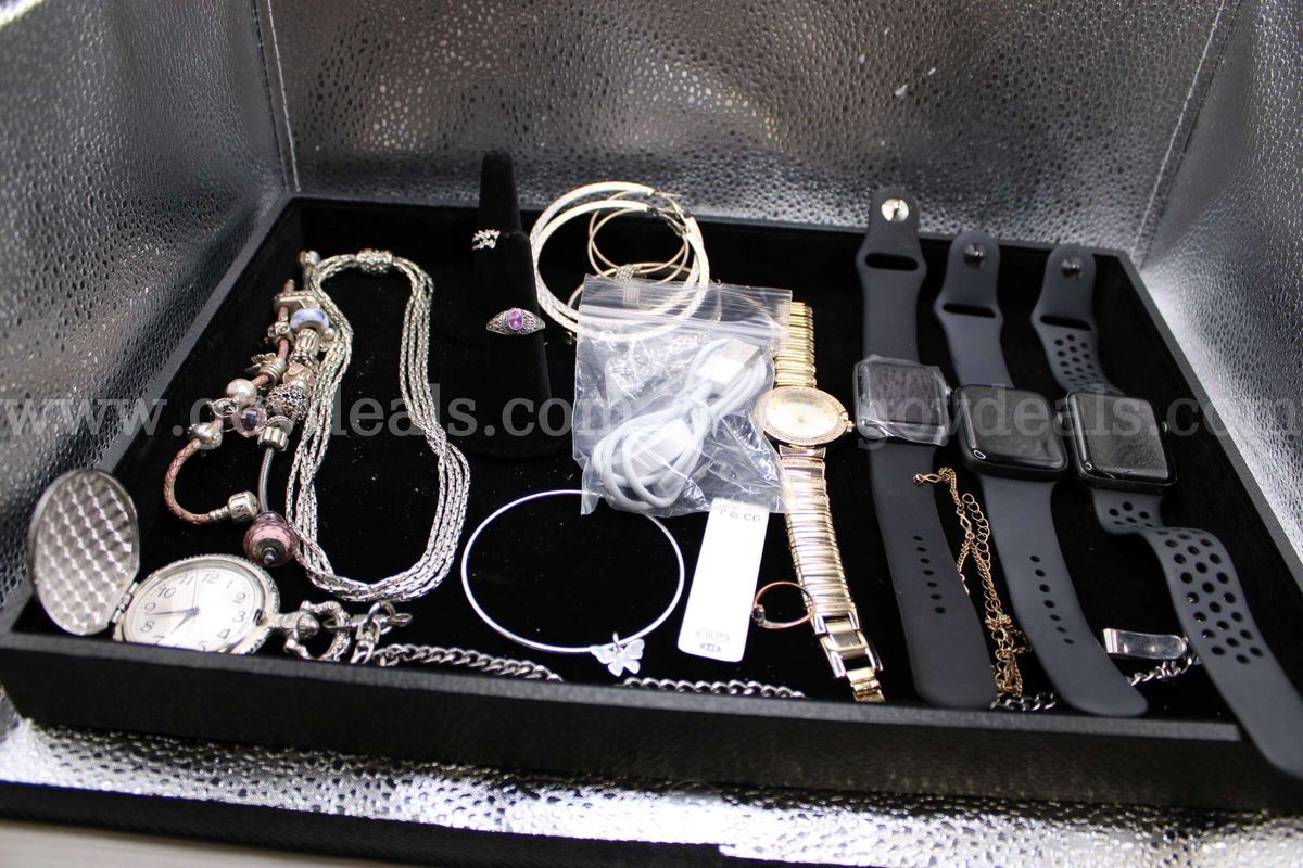 BRACELET (2); NECKLACE (2); WATCH (4); RING (4); WATCH, POCKET (1); EARRING, PAI
