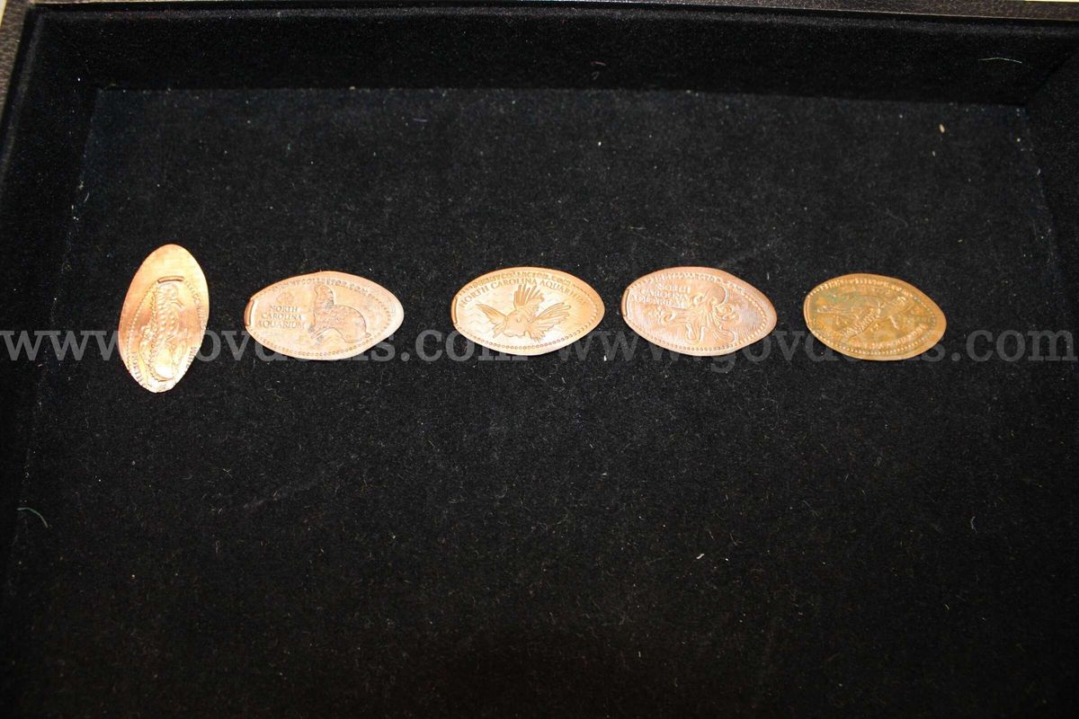 5 Pressed Pennies