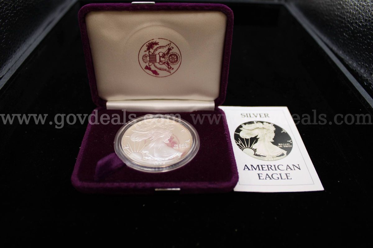 Proof Set Coin (1)