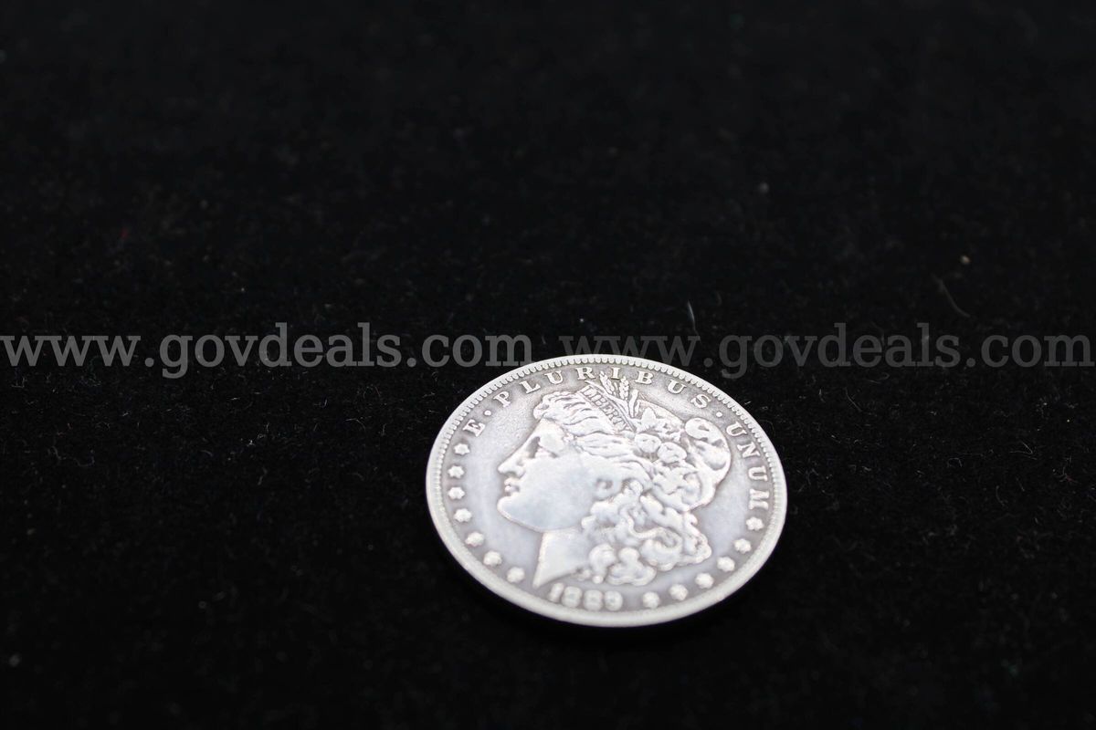 $1 COIN (1)