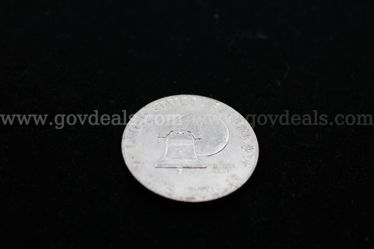 $1 Coin (1)