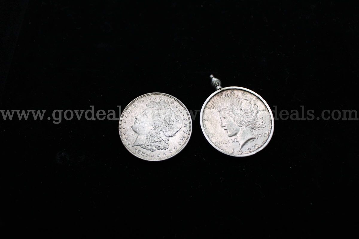 $1.00 Coin (2)