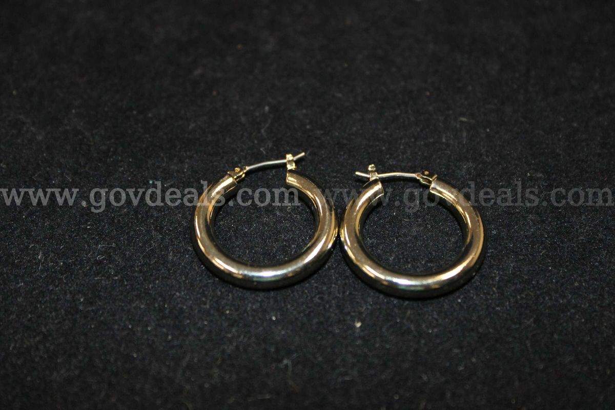 1 Pair Earrings
