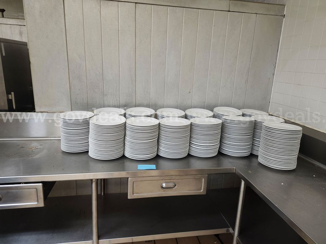 Large Lot of 10 inch Dinner plates