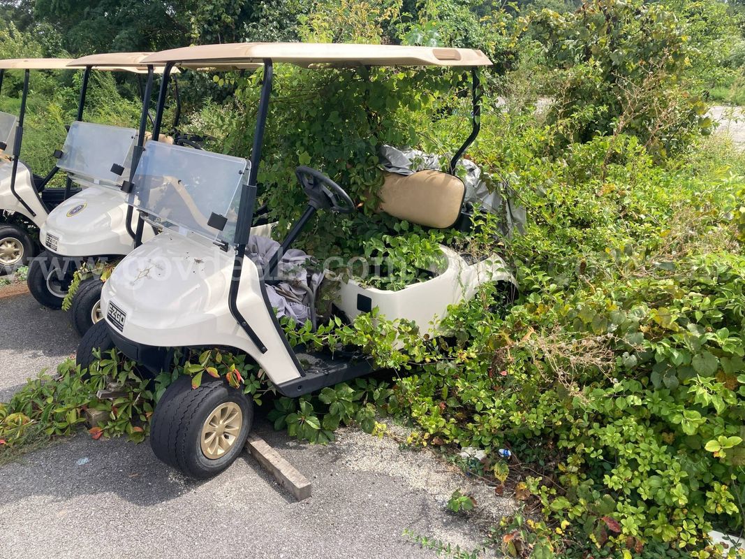 2020 Textron EZ-GO Golf Cart - missing parts