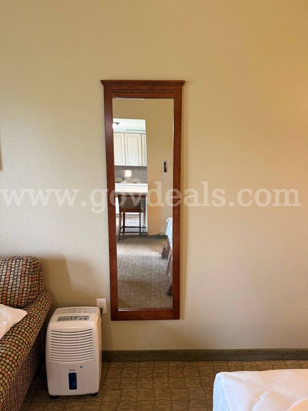 Lot of 73 full length mirrors 65.5"x20"