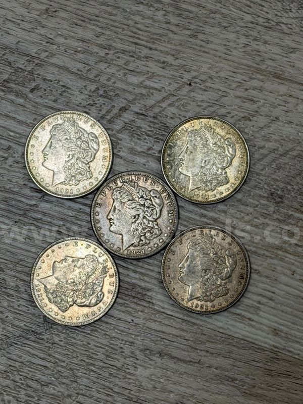 1921 Morgan Silver Dollars - Lot of 5
