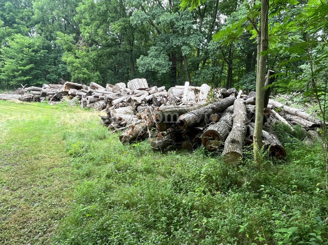 Lot of Approx. (150) Various Sized Logs