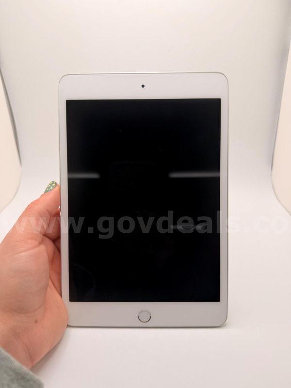 Silver Apple iPad Mini