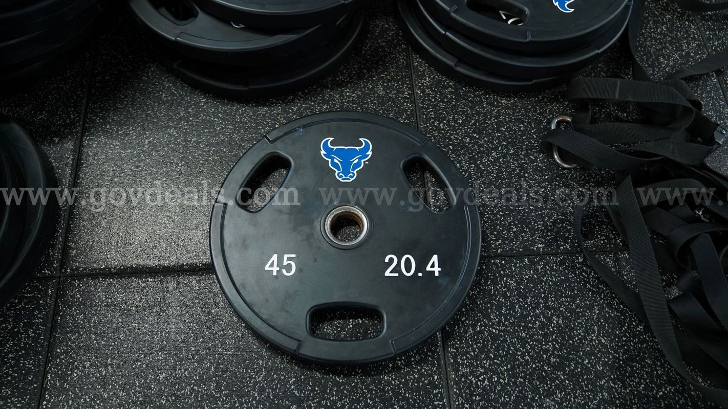 Lot of Approx. (60) 45 lb Weight Plates and Approx. (11) 25 lb Weight Plates