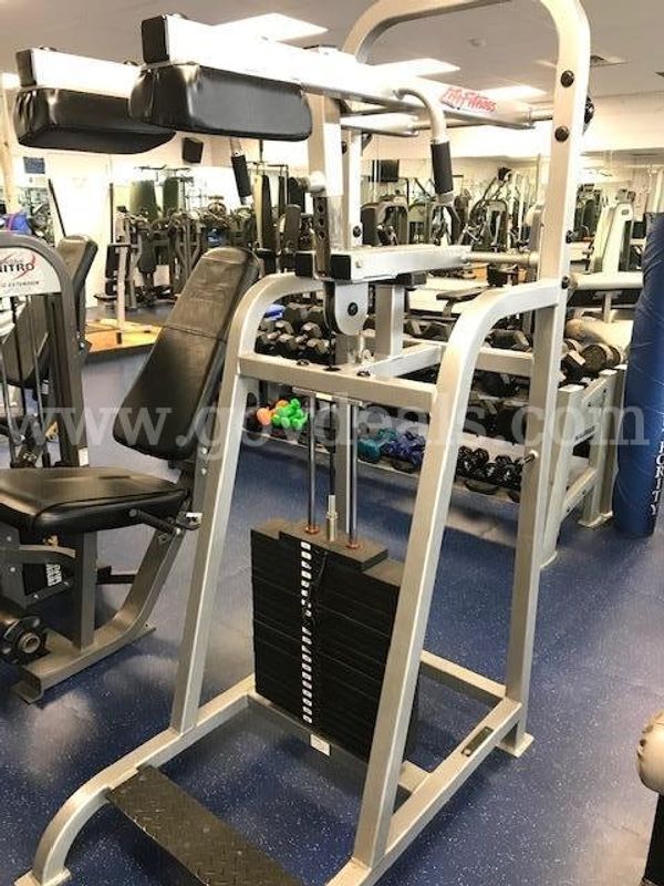 Life Fitness Standing Calf Raise, Nautilus Nitro Lower Back Extension, Nautilus Nitro Lat Pulldown (1 of 3)