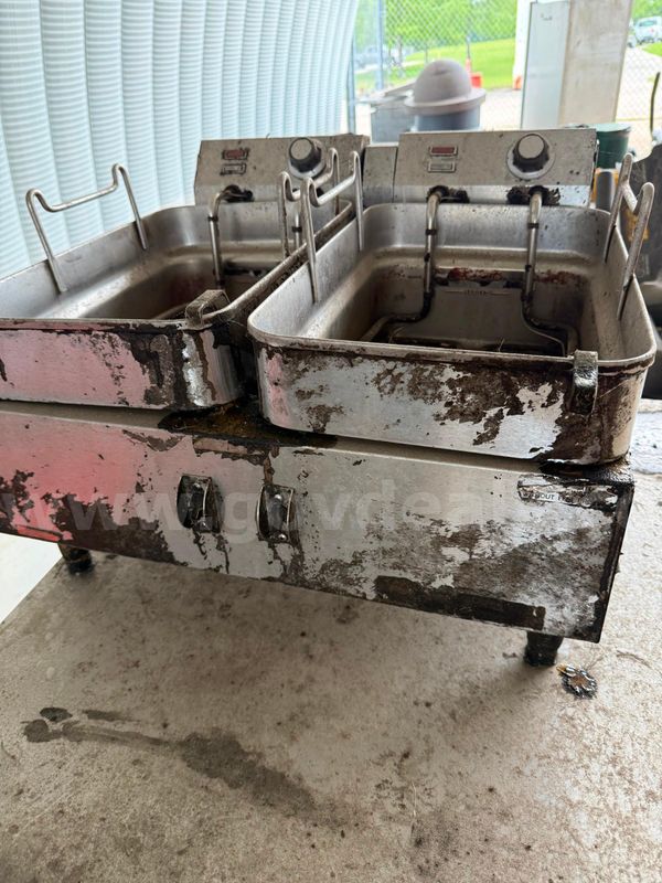 Electric Dual Fryer