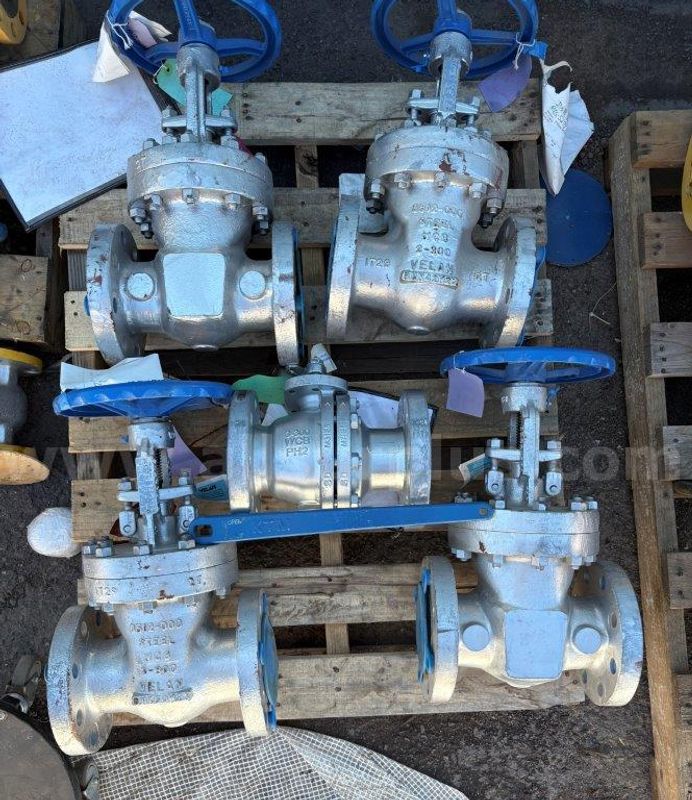 Valves, Gate, Globe, Ball, Check & Control, 1/4in - 6in, Qty 236