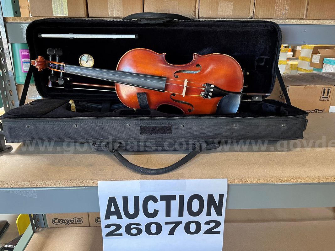 Violin