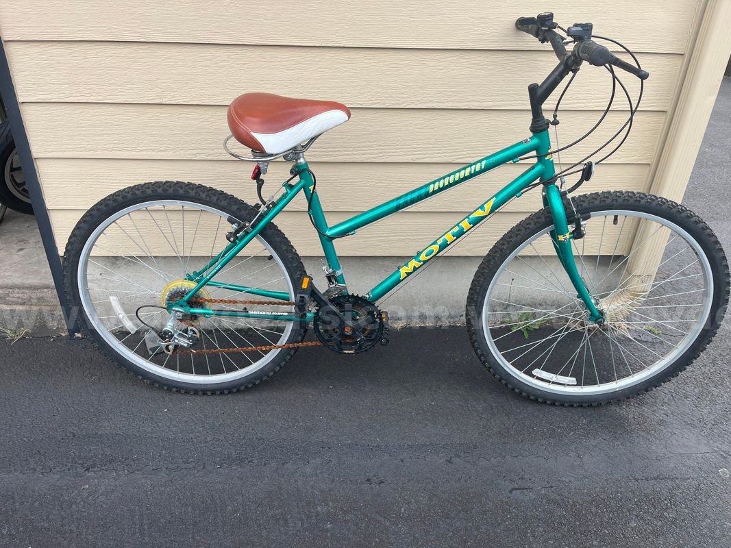 Mountain bike