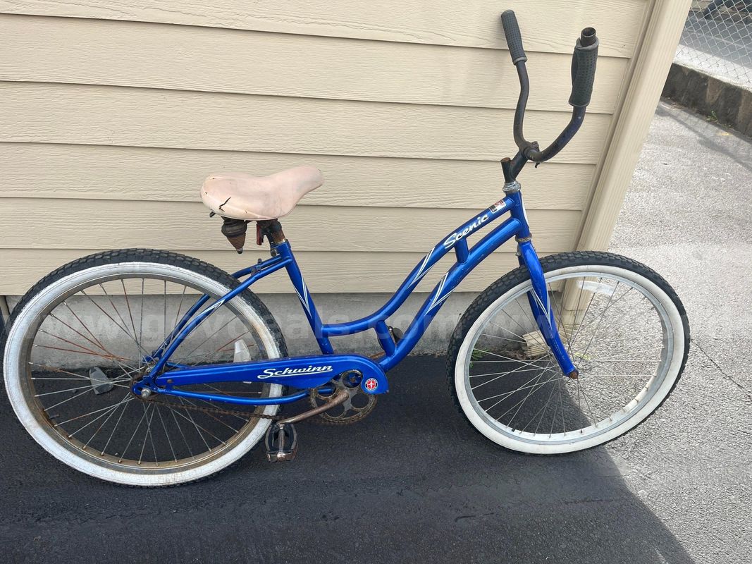Beach cruiser