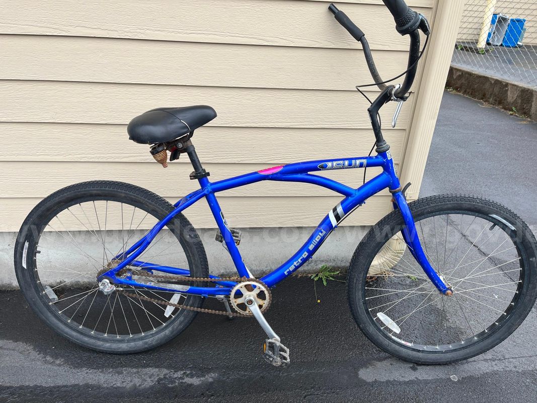 Beach cruiser