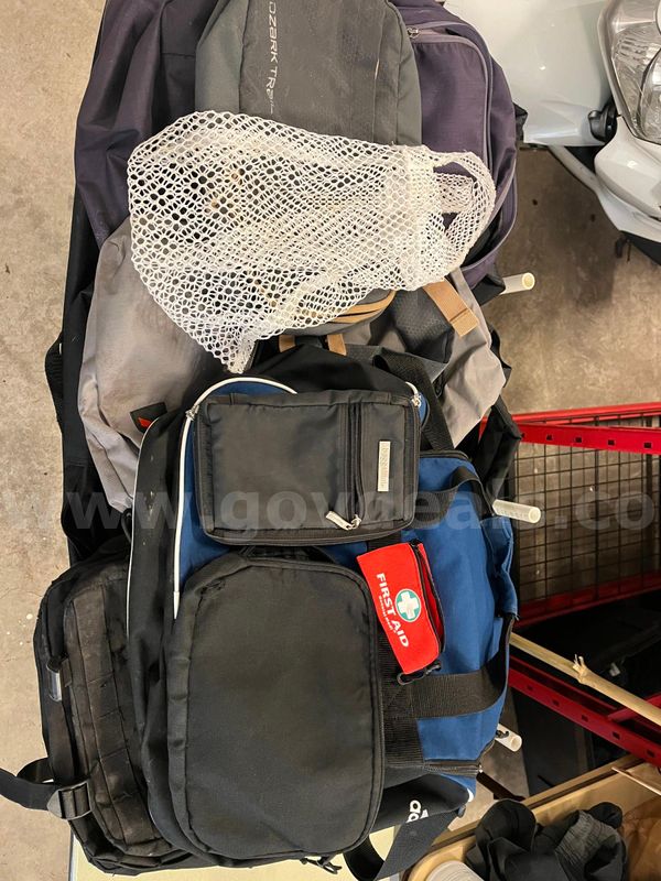 Bag and backpack lot