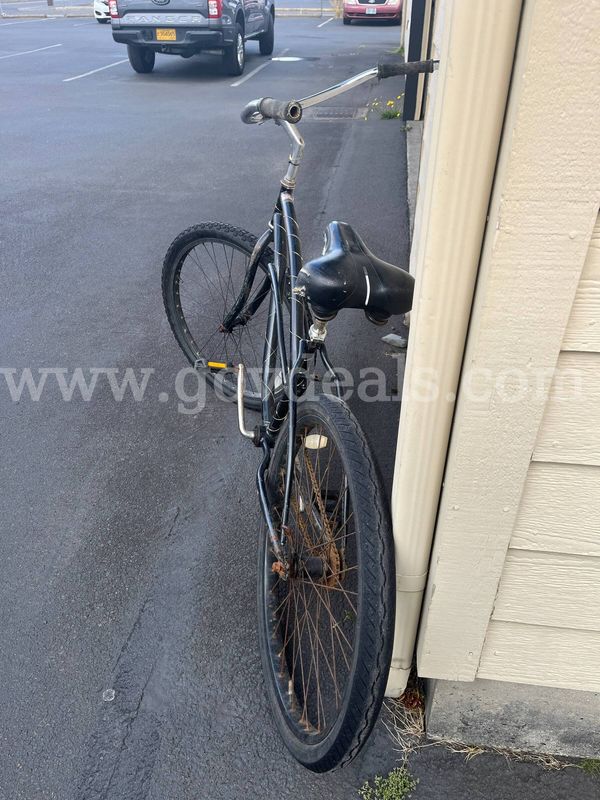 Beach cruiser