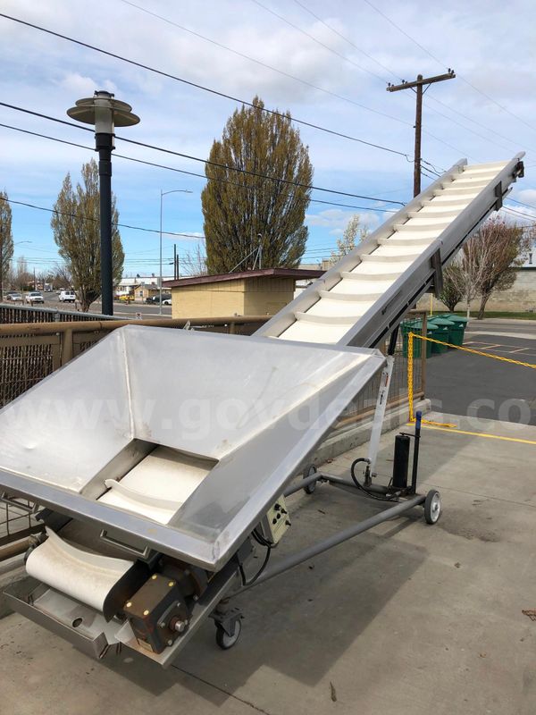 Elevated Conveyor with Hopper