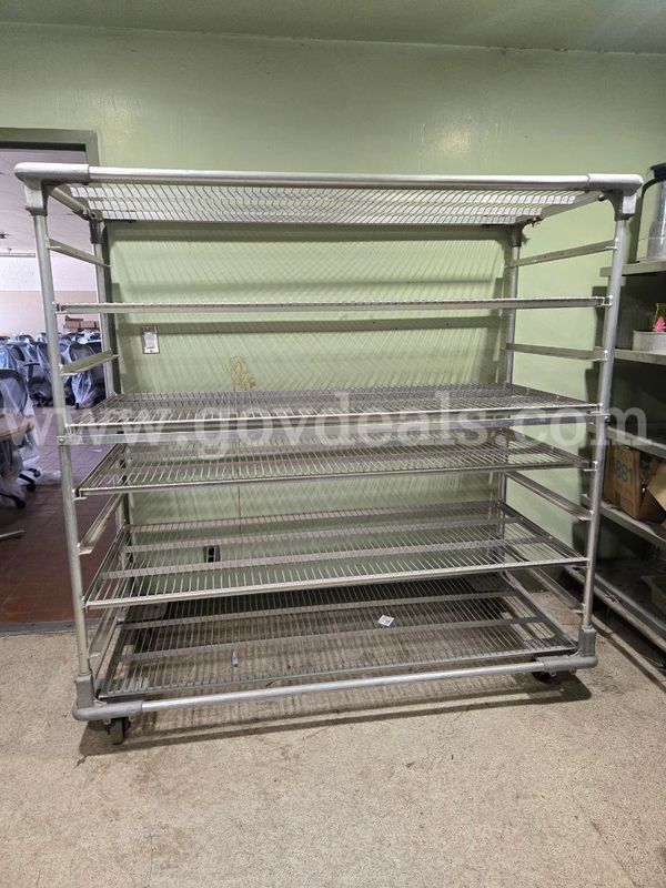 Pair of Rolling Racks