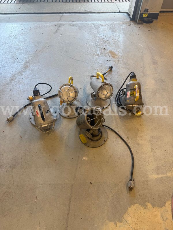 5 Circle D Lights (lot 1)