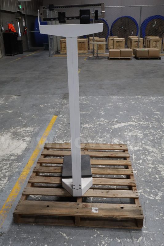 Detecto Weight Scale