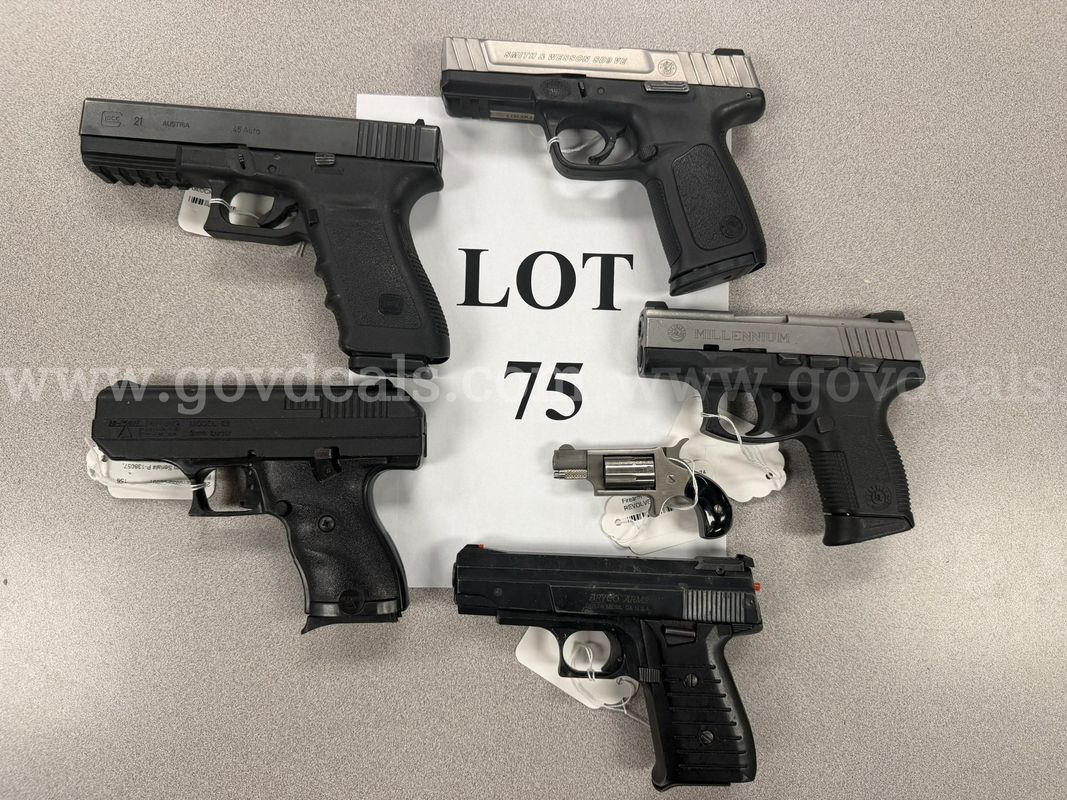 6 Handguns - Lot 75