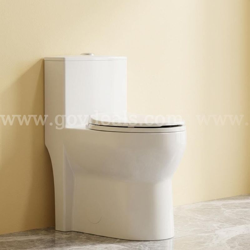 Toilet: American Standard One Piece Toilet