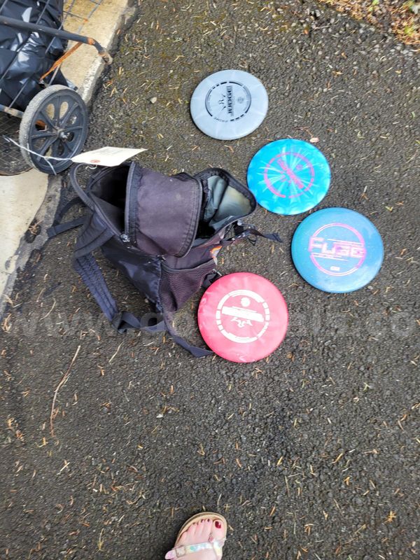 Disc Golf Discs and Weights