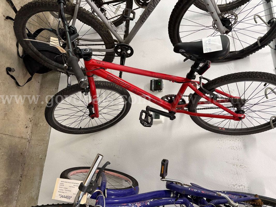 Red Free Agent Ambush 24 Bike