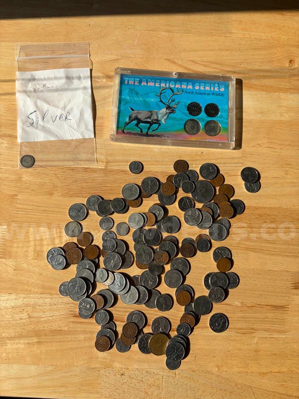 TiDDRs: Various Canadian Coins, contains an older part-silver coin and the "North American Wildlife" coin collection.