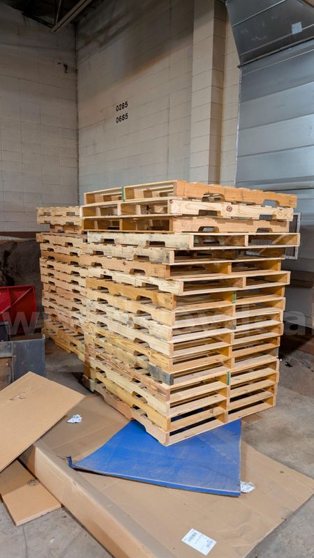 Lot of 50 Wooden Pallets