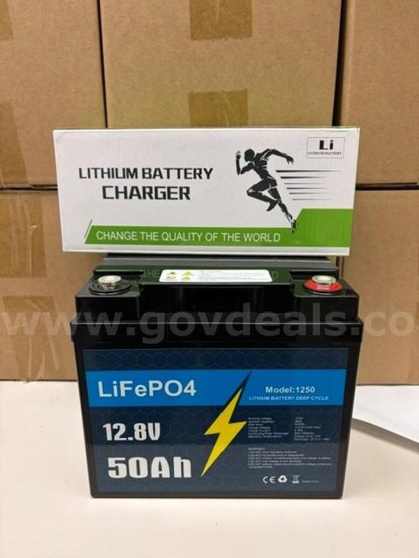 Lot of 9 NEW LiFePO4 Lithium Batteries and 9 Lithium Battery Chargers