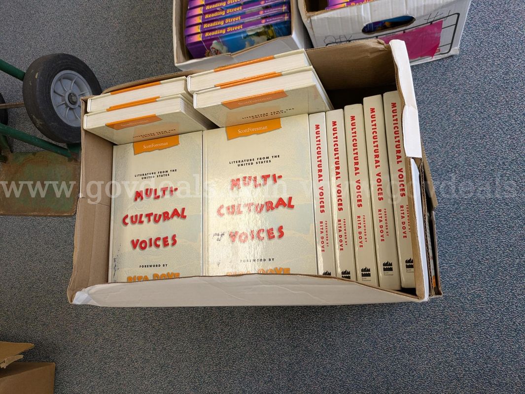 Box of Multi-Cultural Voices books