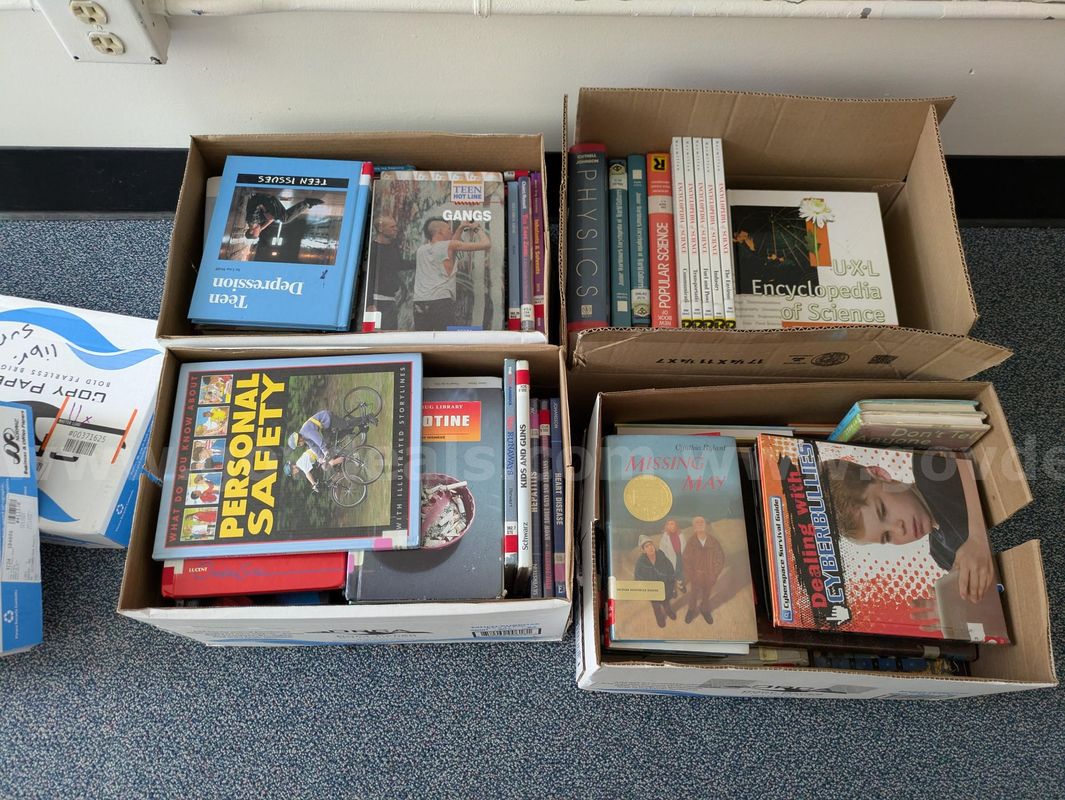 Lot of Library Books