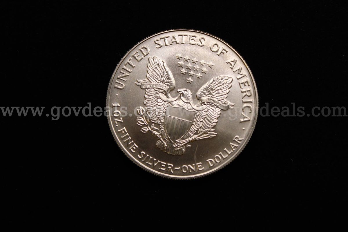 1- Silver Eagle and 1- Morgan Dollar